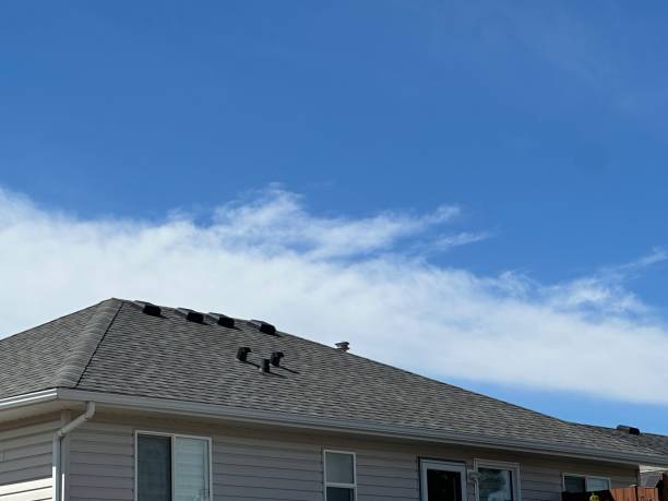 Best Roof Ventilation Installation  in Queensland, MD